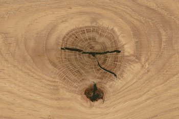 Wildeiche hell soft gebürstet geölt