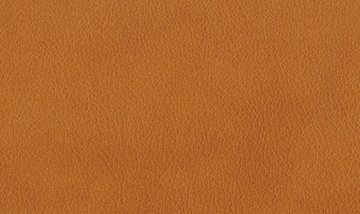 Material LEATHER SAUVAGE AMBER Details from Venjakob